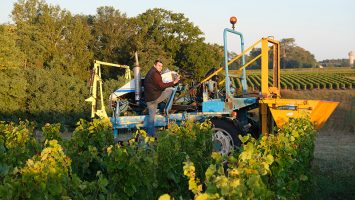 Tracteur vendanges vin de Montlouis